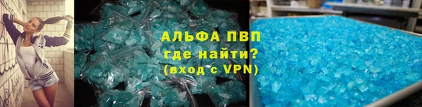хмурый Ельня