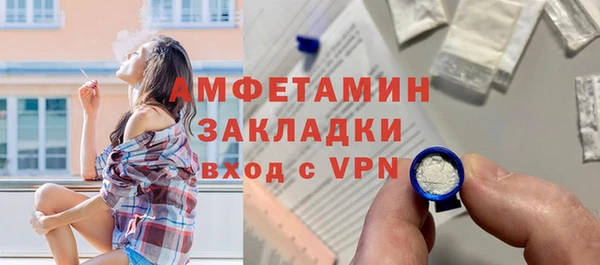 хмурый Ельня