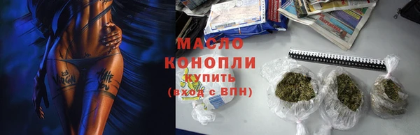 хмурый Ельня