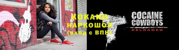хмурый Ельня