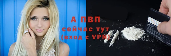 хмурый Ельня