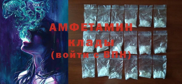 хмурый Ельня