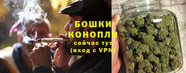 хмурый Ельня