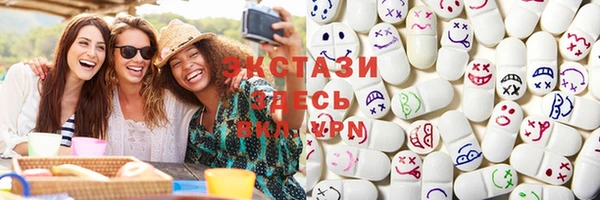 хмурый Ельня
