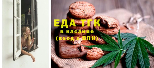 хмурый Ельня