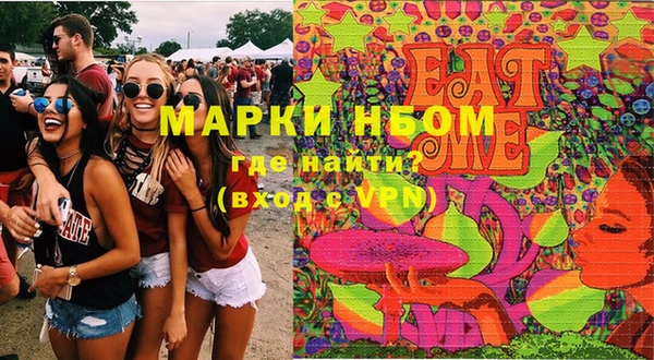 хмурый Ельня