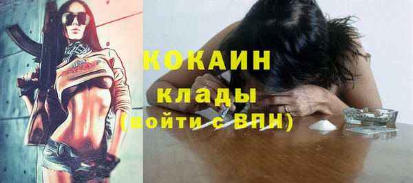 хмурый Ельня