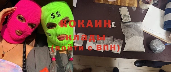 хмурый Ельня