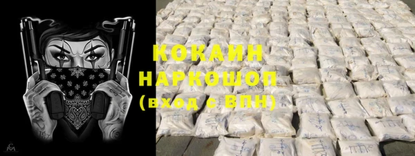 хмурый Ельня