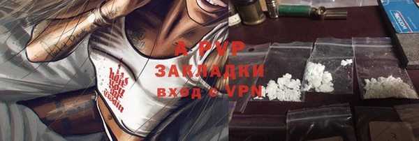 хмурый Ельня
