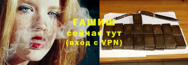 хмурый Ельня